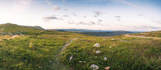 A stunning panoramic view of the vast green tundra nature in Sweden during a summer evening sunset, with rolling hills and a serene pastel sky creating a peaceful atmosphere in Idre Dalarna
