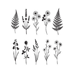 Black and white floral vector set with leaves and decorative elements