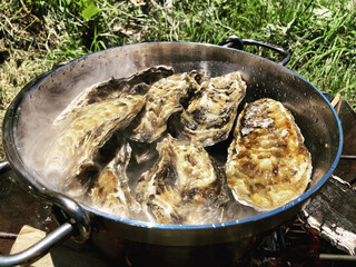 Oysters cooked in a Dutch oven