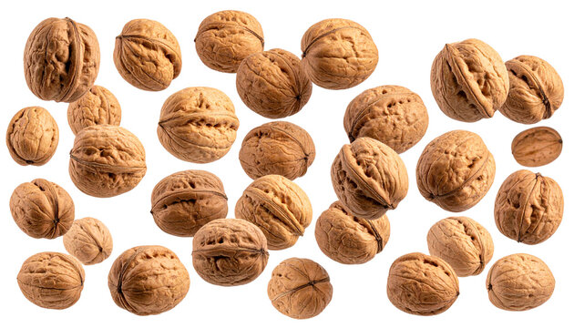  Falling Walnuts in Motion Isolated on Transparent Background PNG