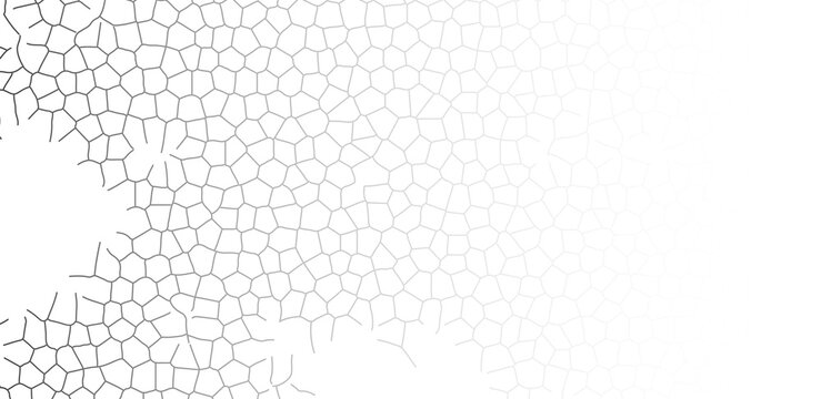 Abstract grayscale geometric pattern with irregular polygon shapes forming a mosaic effect, transitioning from light gray to a smooth white background, creating a clean, modern design