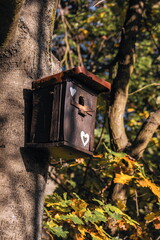 Wooden birdhouse attached to a tree, decorated with white heart symbols, surrounded by colorful foliage in a peaceful autumn forest.