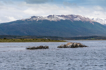 Navigating the Beagle channel from Ushuaia with sea lions, whales, penguins and various bird species, and the iconic Les Eclaireurs Lighthouse.