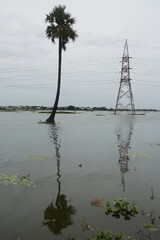 High voltage poles located along the paddy field. Flooded Agricultural Land.