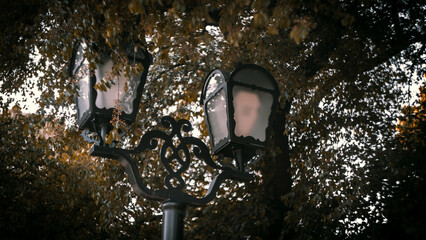 Faded Glow of an Old Street Lantern Beneath Autumn Leaves