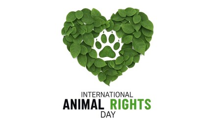 International animal rights day graphic with a green leaf heart and paw print. Animal welfare and conservation concept isolated on a white background