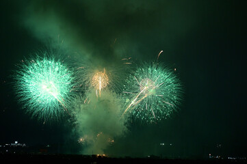 夜空を彩る花火