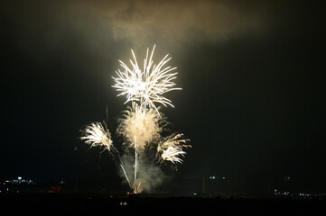 夜空を彩る花火