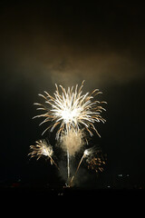 夜空を彩る花火