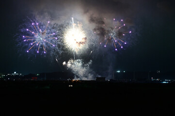 夜空を彩る花火
