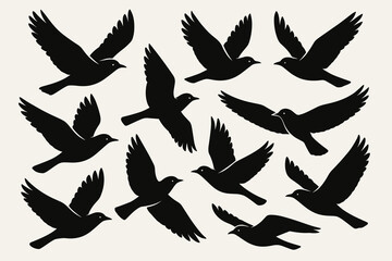 Fototapeta premium Silhouette of black birds flying in various positions on a light background