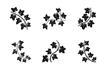 Six black ivy sprigs with leaves arranged on a white background in a pattern