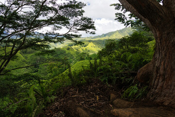 Kuilau Ridge Trailhead Kauai