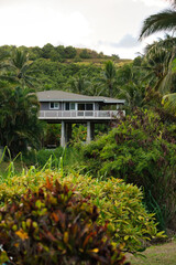 Stelzenh&auml;user, Moloaʻa Beach, Kauai, Hawaii