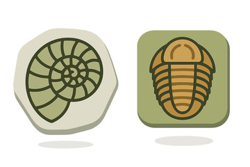 Ammonite shell and trilobite arthropod ancient marine life fossils set