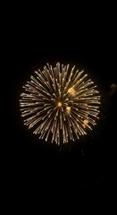 Obraz premium Fireworks display against dark night sky