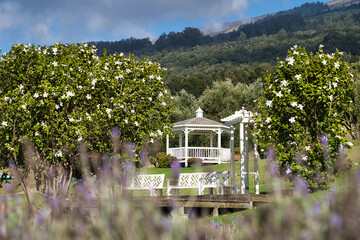 Alii Kula Lavender Farm, Maui, Hawaii