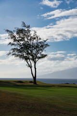 Dragon&rsquo;s Teeth, Makaluapuna Point, Kapalua, Maui, Hawaii