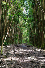 Wanderung zu den Waimoku Falls, Maui