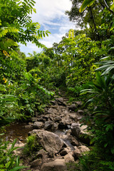 Waimoku Falls Trail, Hawaii