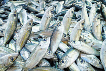 Freshly caught sea fish at a market, selective focus, Borneo, Malaysia.