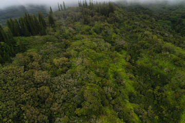 Kauai Wildnis per Helicopter