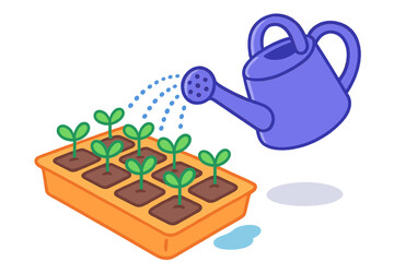Purple watering can pouring water onto small green seedlings growing in an orange seed starting tray for gardening
