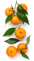 Fresh tangerines with leaves on white background