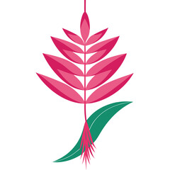 heliconia sexy pink hanging silhouette on white background