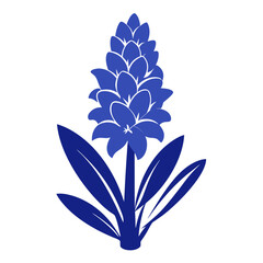 hyacinth blue  silhouette on white background