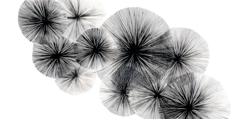 Abstract close up of a dark textured plant with spiky leaves