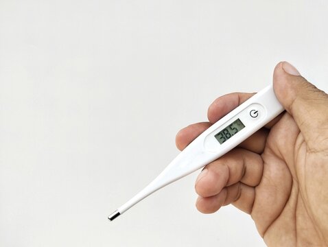 Hand holding a body temperature thermometer shows 38.5 degrees celcius on white background, Close up, Copy space 