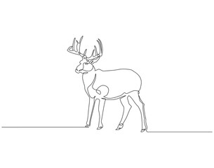 Reindeer continuous line. Continuous one line drawing of reindeer. Horned snow animal concept. Single line drawing