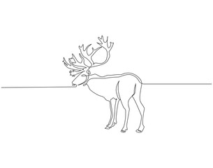 Reindeer continuous line. Continuous one line drawing of reindeer. Horned snow animal concept. Single line drawing
