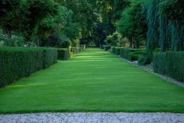 Paved walkway running through green park with trimmed bushes © faveteart
