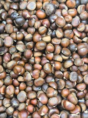 Close-Up Image of Fresh Brown Chestnuts in Natural Pile Arrangement. The image highlights the organic tones of light and dark brown, revealing the beauty of the nuts’ rounded shapes.