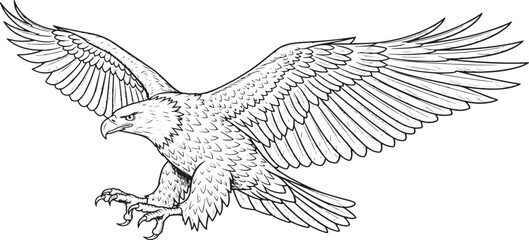 Monochrome hand drawn eagle soars with talons extended on transparent background is ready