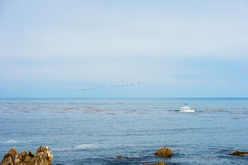 Monterey California coastal view with calm ocean surface, small boat on the horizon, flock of birds flying above the water, light blue sky, minimalistic seascape composition, tranquil atmosphere, nega