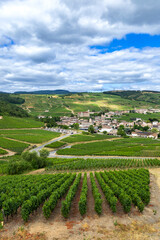 Fuisse village creating wine in Bourgogne vineyards