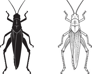 Two grasshopper drawings, one in black silhouette and one as a black outline, sit isolated