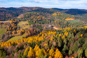Dubne jesień, Góry Leluchowskie, jesień.  © Maciej G. Szling