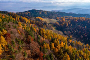 Dubne jesień, Góry Leluchowskie, jesień.  © Maciej G. Szling
