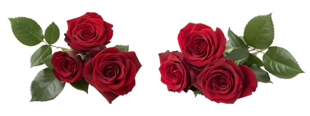 Fotobehang Rozen Two red rose bunches isolated on transparent background  © Png Stock Pro