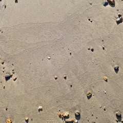 Natural sand texture with scattered pebbles and fine tide lines on a coastal beach surface