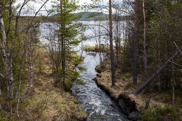 Stream and lake in forest envirolment in Harjedalen, Sweden.