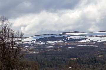 Mountain view and birch forest at Bruksvallarna, Harjedalen, Sweden.