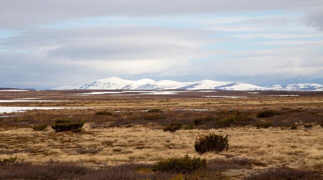 View over mountain nature at the mountain heath Flatruet, Harjedalen, Sweden.
