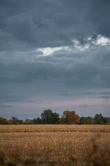 Autumn field with storm clouds