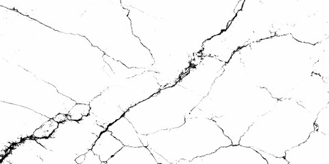 Abstract black white branching crack grunge texture.