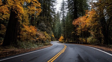 Obraz premium Winding road through a vibrant autumn forest (1)